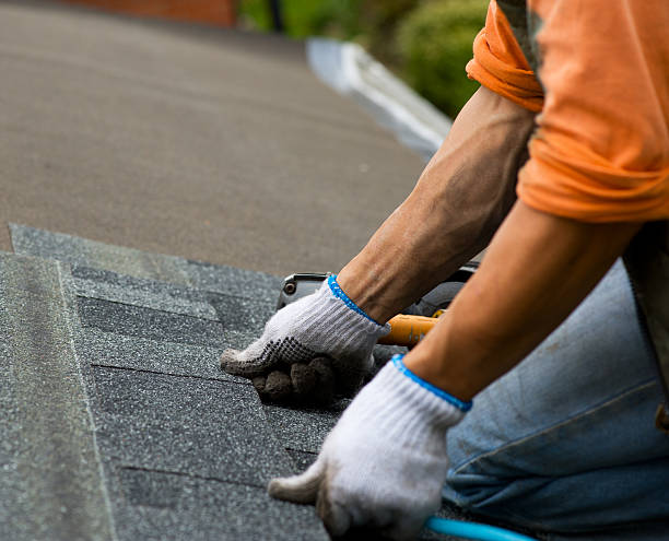 Best Roof Waterproofing Services  in Scottsville, NY